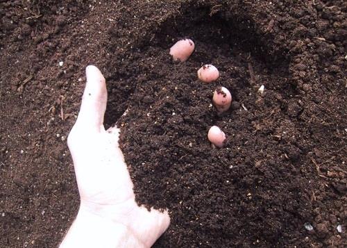 “土十條”土壤污染遏制“硬任務”