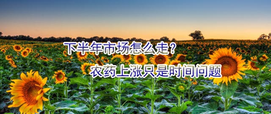 下半年市場怎么走？農(nóng)藥上漲只是時間問題
