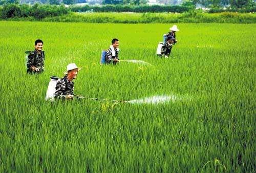 農資市場魚龍混雜，抗性真的有宣傳的那么嚴重嗎？